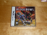 Blood Bowl mini1